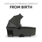4007923165447.pt02.Walk N Care Carrycot Dark Olive Αντιγραφή